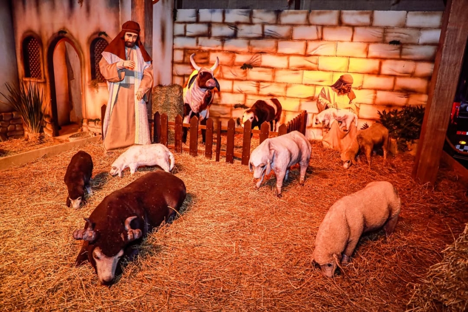 Elvis Cezar abre oficialmente o Natal de Luz 2025 no Centro Histórico