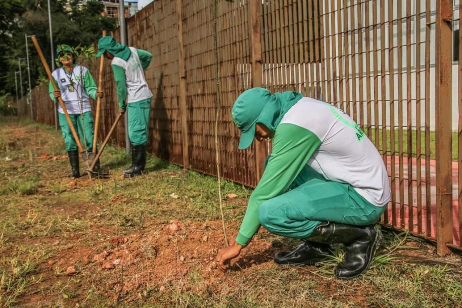 Parque Municipal de Santana de Parnaíba receberá várias atividades de educação ambiental 